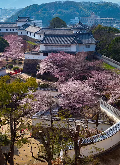 Hyōgo