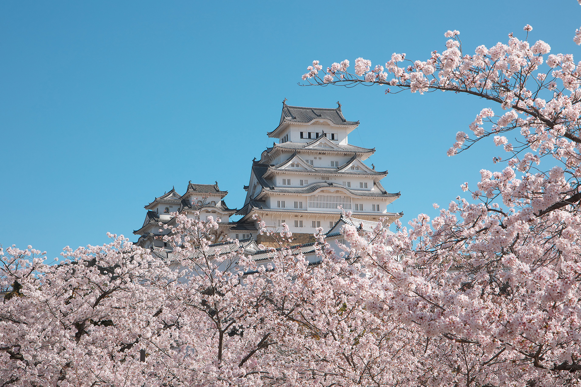 himeji-castle_new_01_004